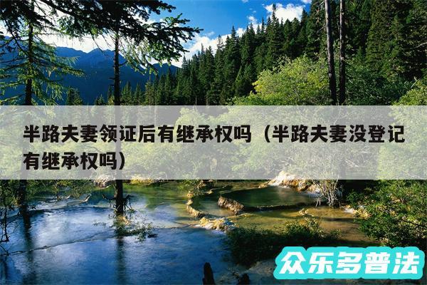半路夫妻领证后有继承权吗以及半路夫妻没登记有继承权吗