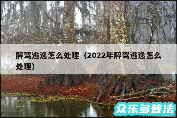 醉驾逃逸怎么处理以及2024年醉驾逃逸怎么处理