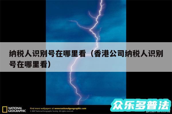 纳税人识别号在哪里看以及香港公司纳税人识别号在哪里看
