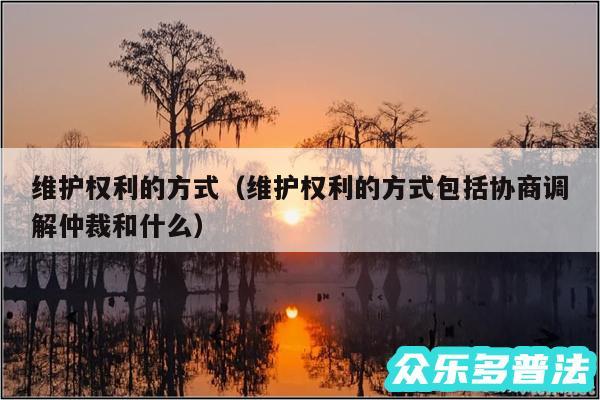 维护权利的方式以及维护权利的方式包括协商调解仲裁和什么