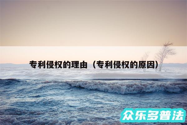 专利侵权的理由以及专利侵权的原因