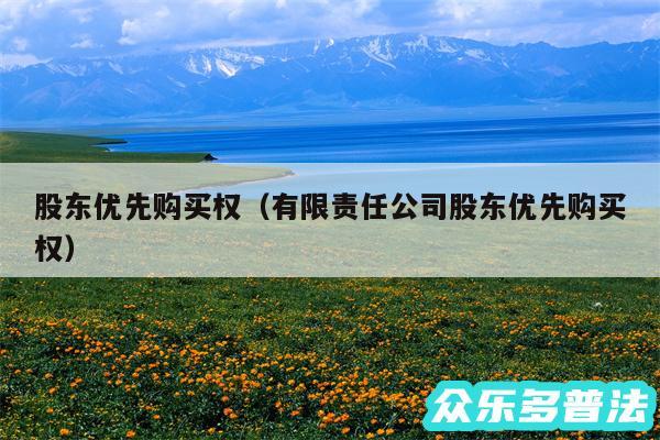 股东优先购买权以及有限责任公司股东优先购买权