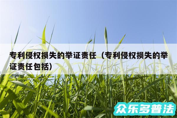 专利侵权损失的举证责任以及专利侵权损失的举证责任包括
