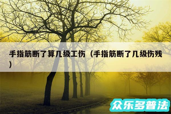 手指筋断了算几级工伤以及手指筋断了几级伤残