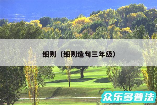 细则以及细则造句三年级
