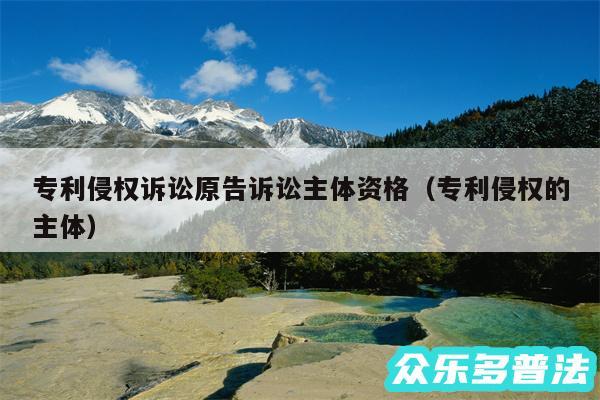 专利侵权诉讼原告诉讼主体资格以及专利侵权的主体
