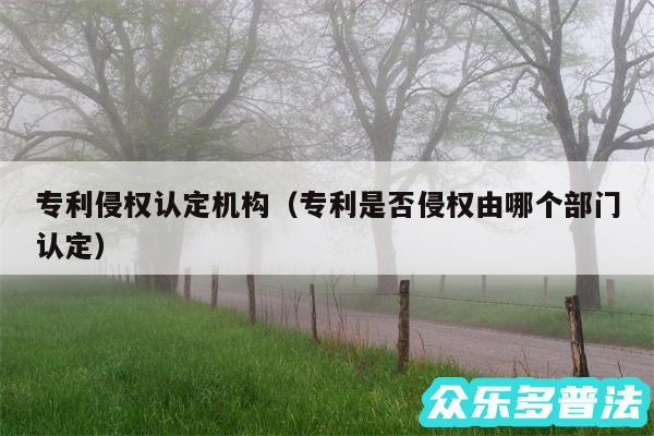 专利侵权认定机构以及专利是否侵权由哪个部门认定