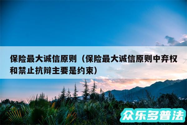 保险最大诚信原则以及保险最大诚信原则中弃权和禁止抗辩主要是约束