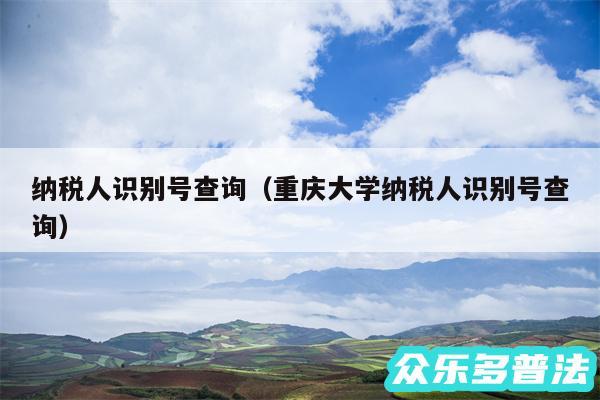纳税人识别号查询以及重庆大学纳税人识别号查询