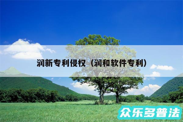 润新专利侵权以及润和软件专利