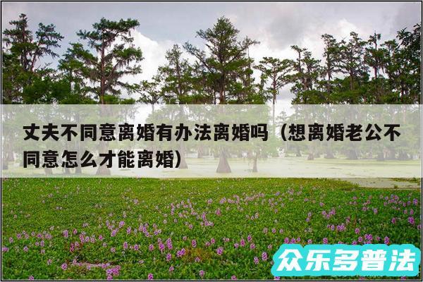 丈夫不同意离婚有办法离婚吗以及想离婚老公不同意怎么才能离婚