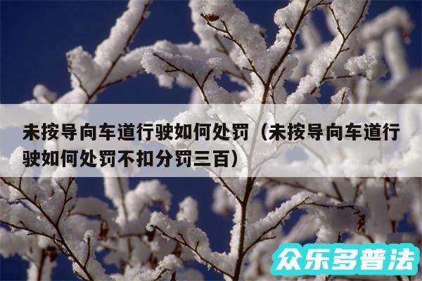 未按导向车道行驶如何处罚以及未按导向车道行驶如何处罚不扣分罚三百