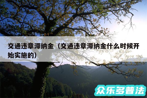 交通违章滞纳金以及交通违章滞纳金什么时候开始实施的