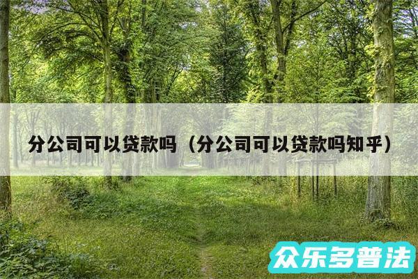 分公司可以贷款吗以及分公司可以贷款吗知乎