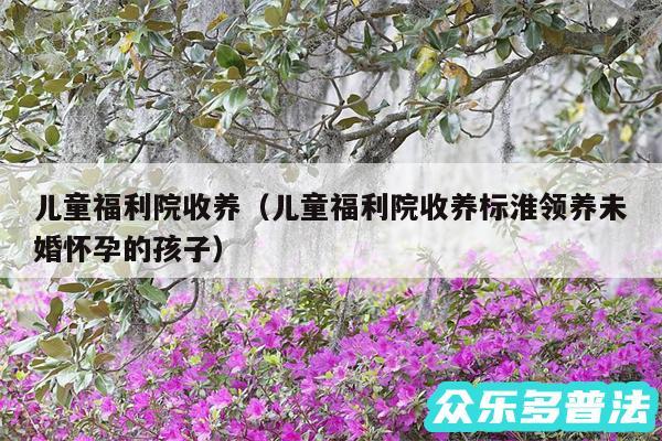 儿童福利院收养以及儿童福利院收养标淮领养未婚怀孕的孩子
