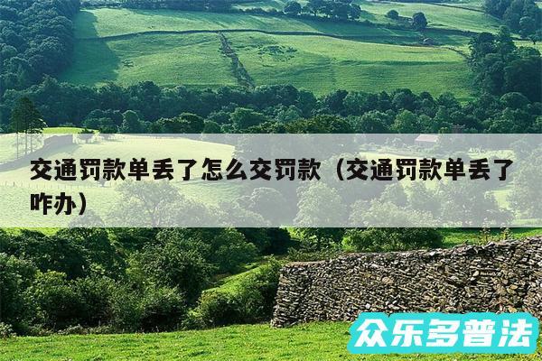 交通罚款单丢了怎么交罚款以及交通罚款单丢了咋办