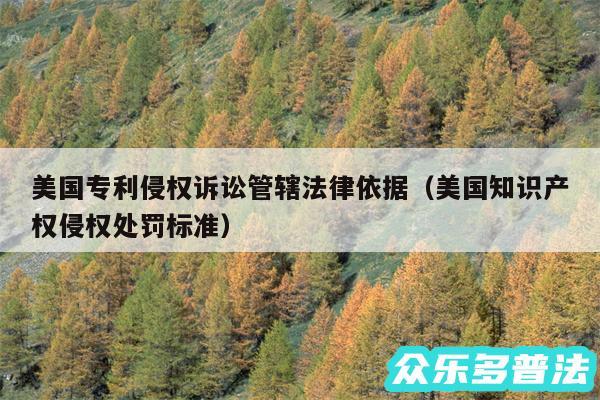 美国专利侵权诉讼管辖法律依据以及美国知识产权侵权处罚标准