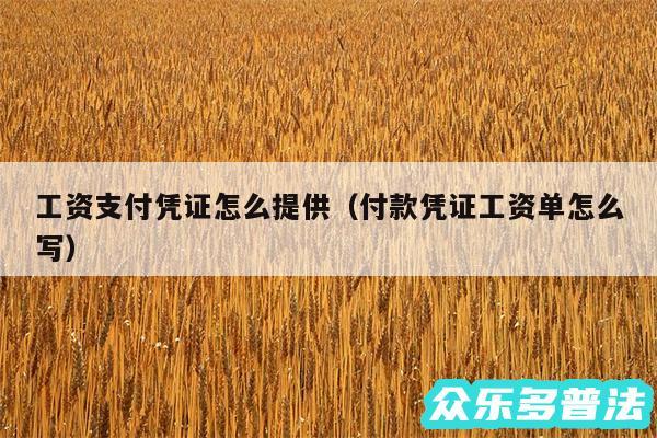工资支付凭证怎么提供以及付款凭证工资单怎么写
