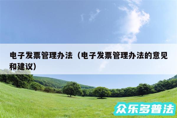 电子发票管理办法以及电子发票管理办法的意见和建议