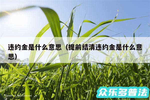 违约金是什么意思以及提前结清违约金是什么意思