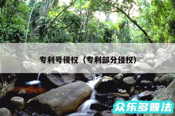 专利号侵权以及专利部分侵权