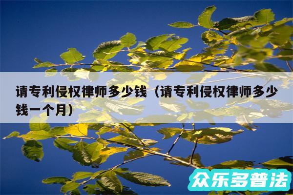 请专利侵权律师多少钱以及请专利侵权律师多少钱一个月