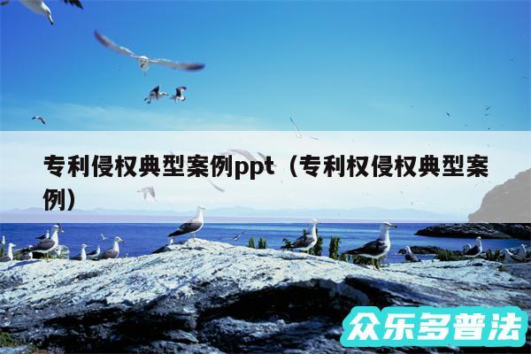 专利侵权典型案例ppt以及专利权侵权典型案例