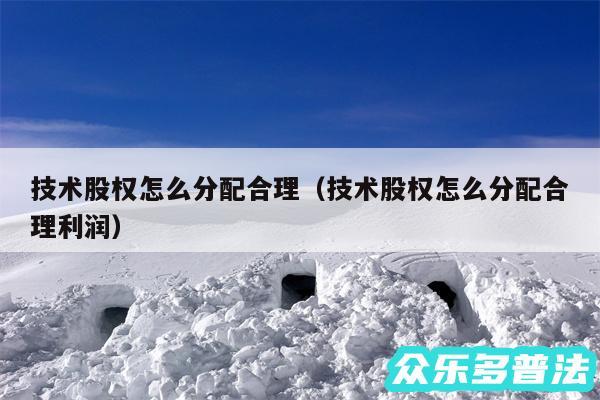 技术股权怎么分配合理以及技术股权怎么分配合理利润