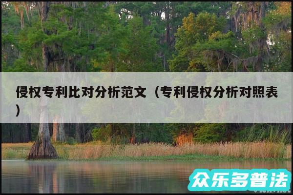 侵权专利比对分析范文以及专利侵权分析对照表