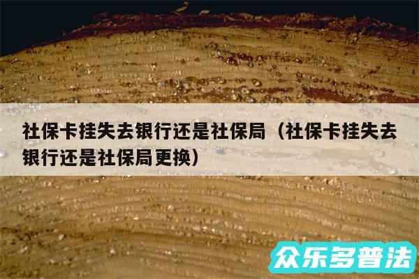 社保卡挂失去银行还是社保局以及社保卡挂失去银行还是社保局更换