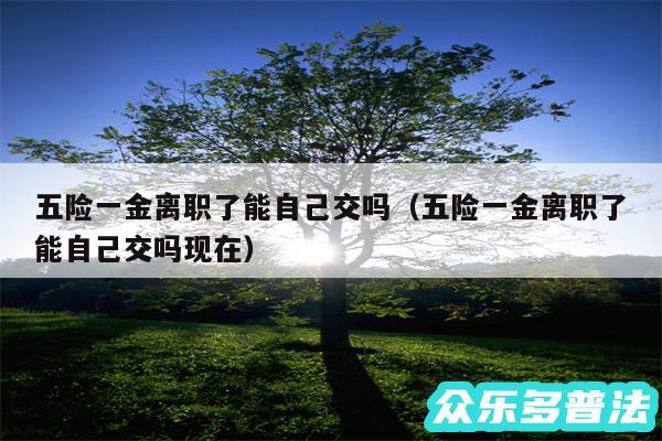 五险一金离职了能自己交吗以及五险一金离职了能自己交吗现在