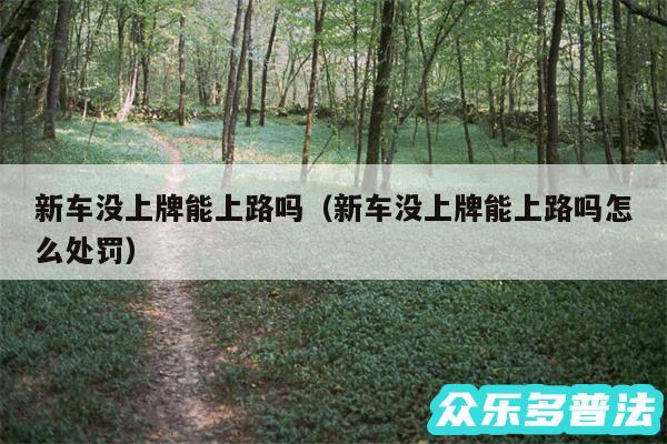 新车没上牌能上路吗以及新车没上牌能上路吗怎么处罚