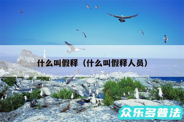 什么叫假释以及什么叫假释人员