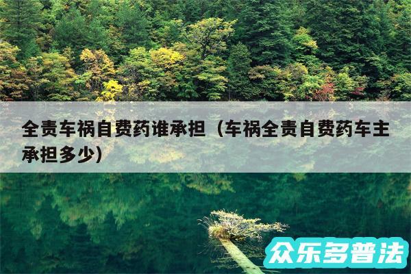 全责车祸自费药谁承担以及车祸全责自费药车主承担多少