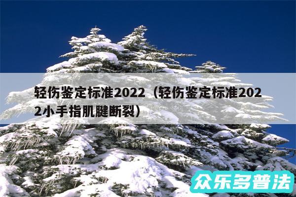 轻伤鉴定标准2024以及轻伤鉴定标准2024小手指肌腱断裂