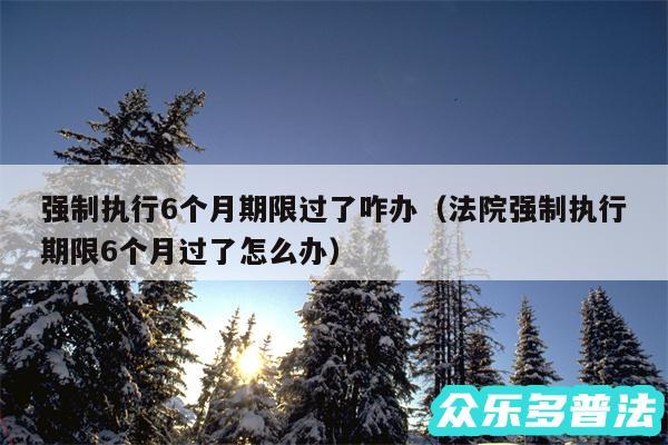 强制执行6个月期限过了咋办以及法院强制执行期限6个月过了怎么办