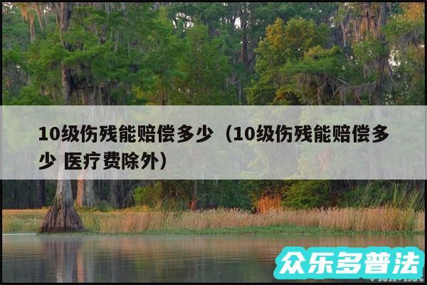 10级伤残能赔偿多少以及10级伤残能赔偿多少 医疗费除外