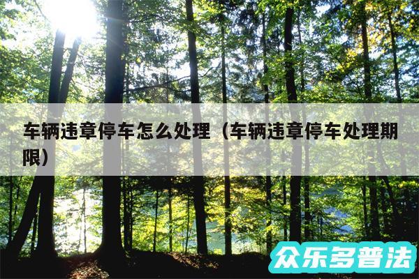 车辆违章停车怎么处理以及车辆违章停车处理期限