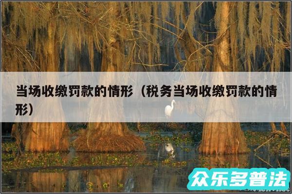 当场收缴罚款的情形以及税务当场收缴罚款的情形