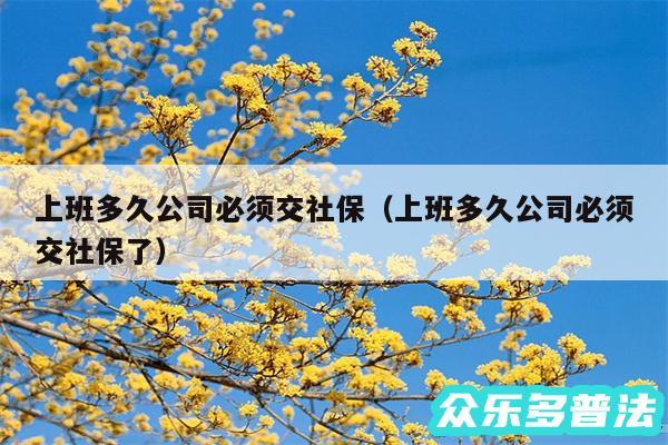 上班多久公司必须交社保以及上班多久公司必须交社保了