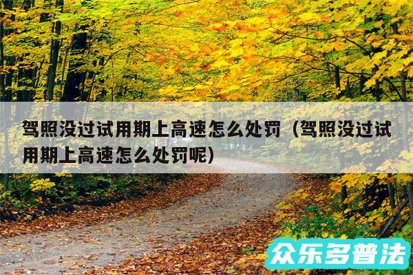 驾照没过试用期上高速怎么处罚以及驾照没过试用期上高速怎么处罚呢