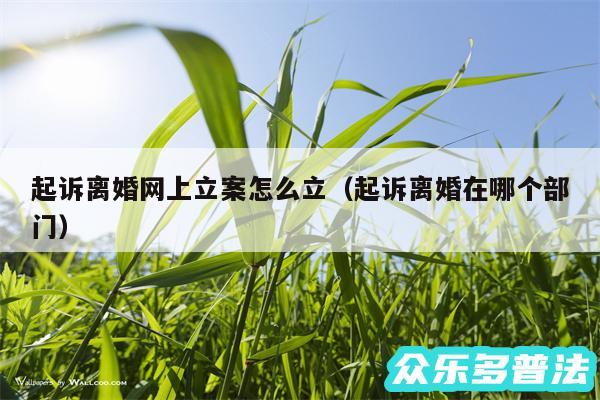 起诉离婚网上立案怎么立以及起诉离婚在哪个部门