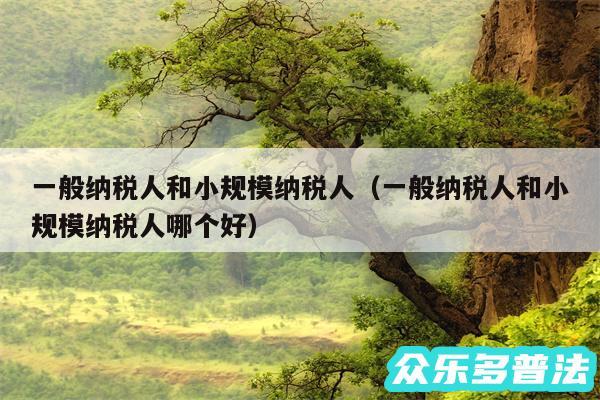 一般纳税人和小规模纳税人以及一般纳税人和小规模纳税人哪个好