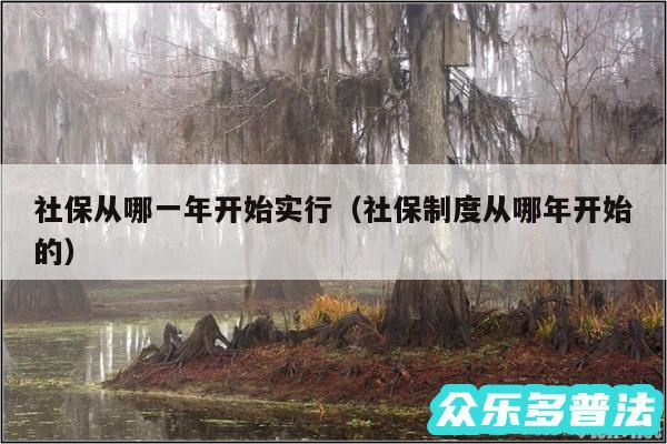 社保从哪一年开始实行以及社保制度从哪年开始的