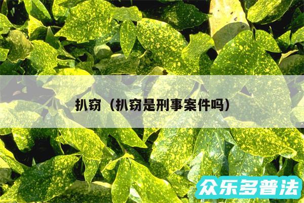 扒窃以及扒窃是刑事案件吗
