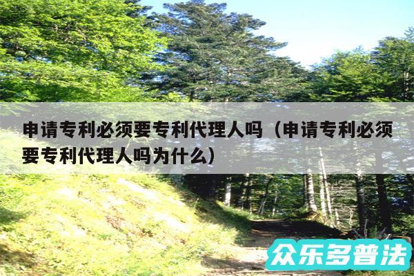 申请专利必须要专利代理人吗以及申请专利必须要专利代理人吗为什么