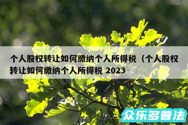 个人股权转让如何缴纳个人所得税以及个人股权转让如何缴纳个人所得税 2024