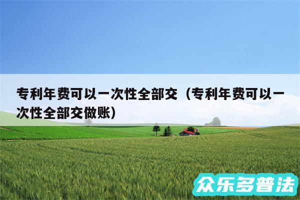 专利年费可以一次性全部交以及专利年费可以一次性全部交做账