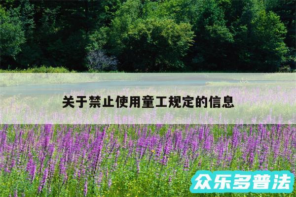 关于禁止使用童工规定的信息