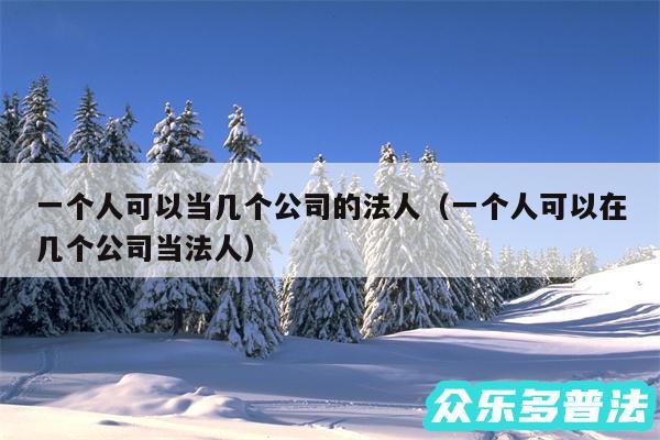 一个人可以当几个公司的法人以及一个人可以在几个公司当法人